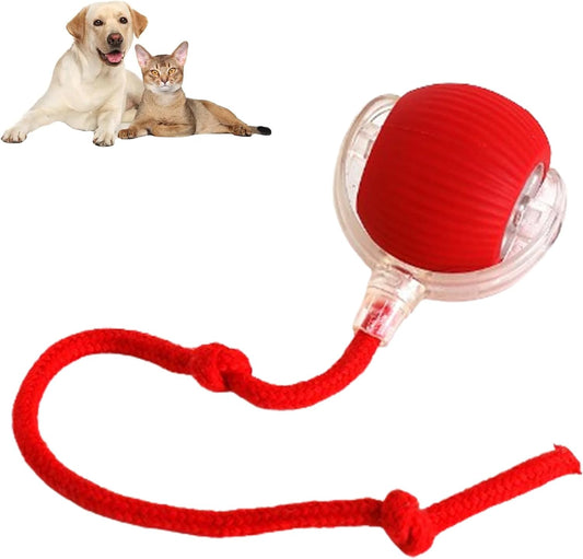 Automatic Ball Toy For Dogs