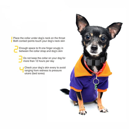 Automatic Barking Stop