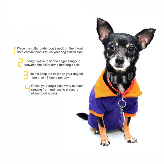 Automatic Barking Stop