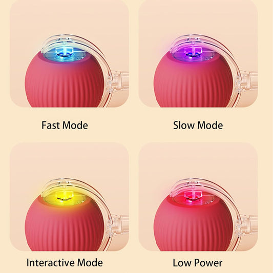 Automatic Ball Toy For Dogs