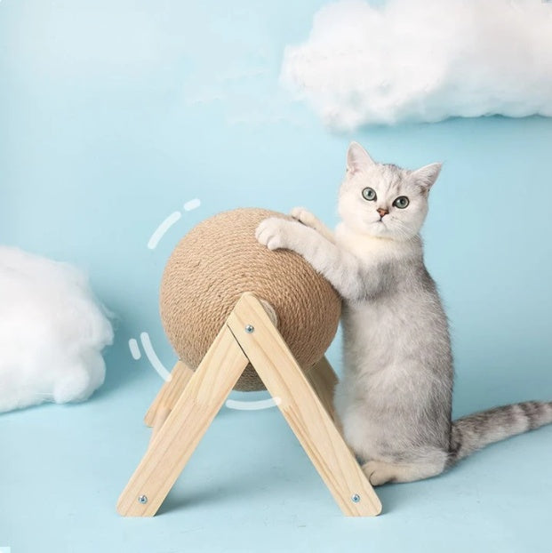 Cat Scratching Products