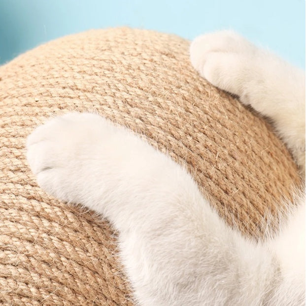 Cat Scratching Products