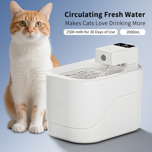 Pet Drinking Fountain